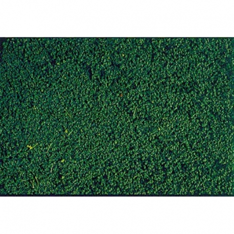 Foliáž micro -borovicová zelená-