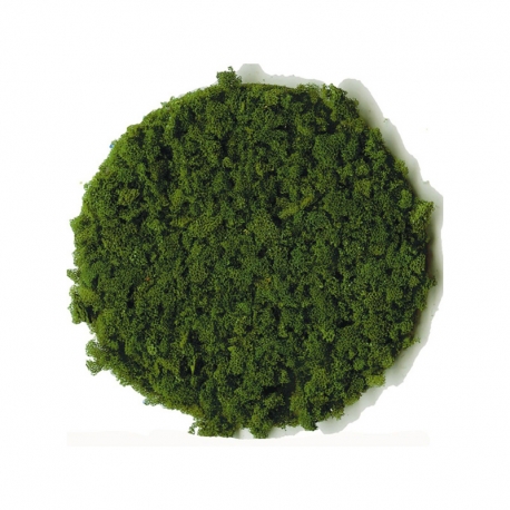 Drcený molitan hrubý -tmavě zelený- 200ml