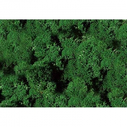 Islandský mech - tmavě zelený 30g