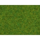 Statická tráva -okrasné trávníky- 20g 2,5mm