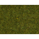 Statická tráva -divoká tráva - louka- 9mm 50g