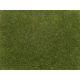 Statická tráva -středně zelená- 20g 4mm