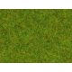 Statická tráva -jarní louka- 20g 2,5mm