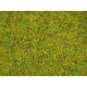 Statická tráva -letní louka- 20g 2,5mm