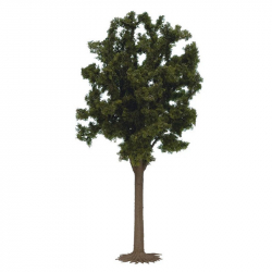 G - strom - listnatý strom